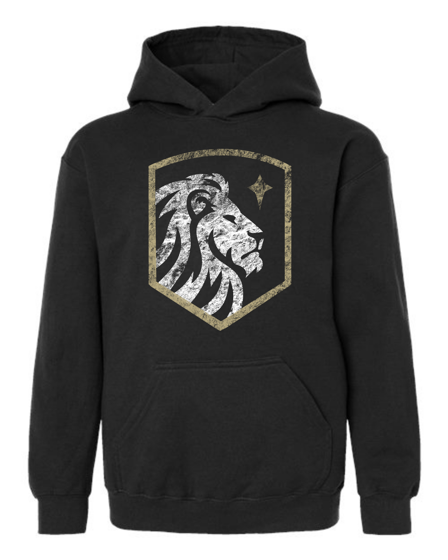 ADULT and YOUTH Sizes - Distressed Crest Hoodie