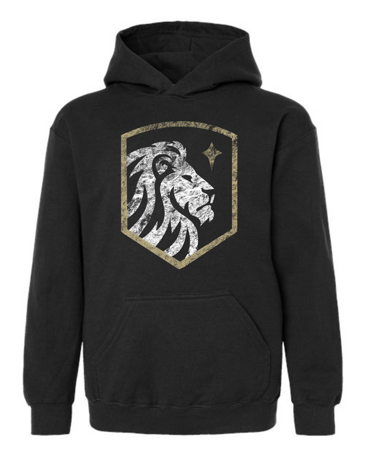ADULT and YOUTH Sizes - Distressed Crest Hoodie