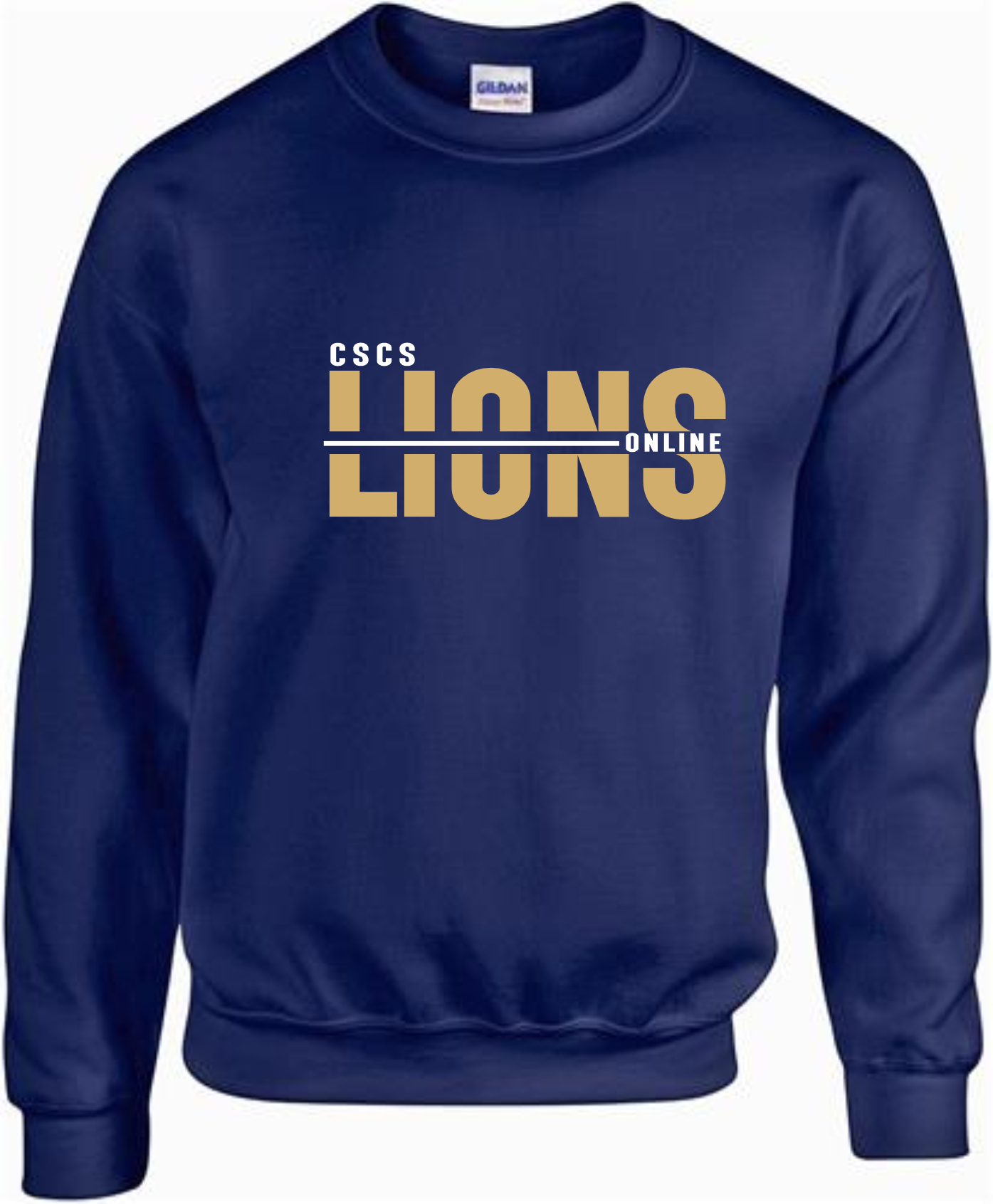 CSCS LIONS ONLINE