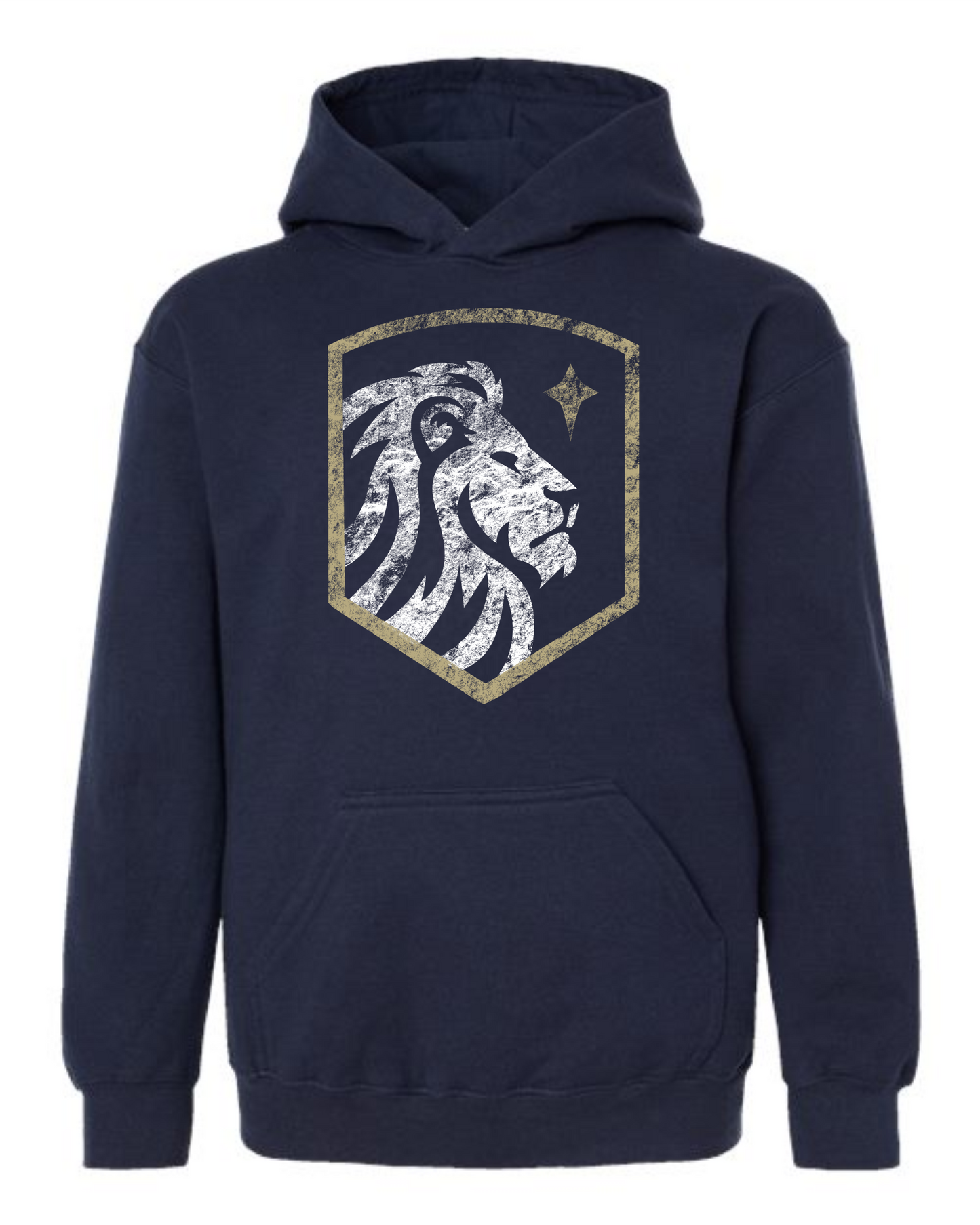 ADULT and YOUTH Sizes - Distressed Crest Hoodie